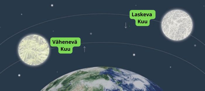 kannabiksen viljely kuun vaiheiden mukaisesti